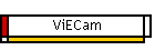 ViECam