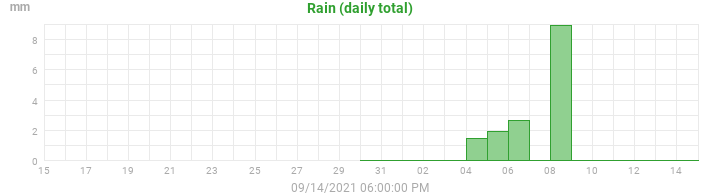 rain