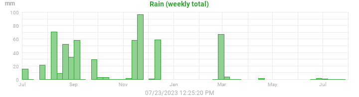rain