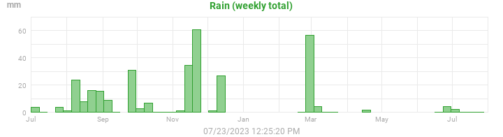 rain